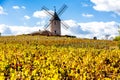 Beaujolais, Rhone-Alpes, France Royalty Free Stock Photo