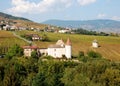 Beaujolais vineyard, France Royalty Free Stock Photo