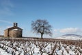 Beaujolais in winter Royalty Free Stock Photo