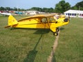 Beauliful restored classic Piper J3 Cub.