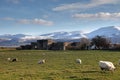 Beaumaris Castle Royalty Free Stock Photo