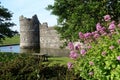 Beaumaris Castle, Anglesey, Wales With Moat and Flowers Royalty Free Stock Photo