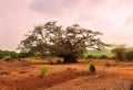 Beaurtiful pink sunset. Colorful nature landscape. Gokarna, Karnataka, India