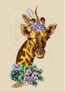 Beautful hand drawn illustration portrait og giraffe.