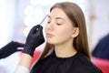 Beautician combs eyebrows using special brush on face young beautiful model. Facial care and make up Royalty Free Stock Photo