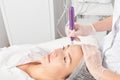 Beautician makes mesotherapy injection for rejuvenation woman face, procedure in beauty salon Royalty Free Stock Photo