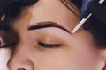 Beautician- makeup artist applies paint henna on previously plucked, design, trimmed eyebrows in a beauty salon in the Royalty Free Stock Photo