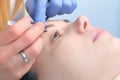 Beautician plucking eyebrows with tweezers to woman in beauty salon, closeup. Royalty Free Stock Photo