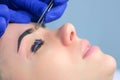 Beautician plucking eyebrows with tweezers to woman beauty procedure, side view. Royalty Free Stock Photo