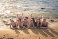 Beauties on the beach