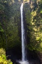 Beautifil Akaka falls near Hilo Royalty Free Stock Photo