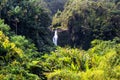 Beautifil Akaka falls near Hilo Royalty Free Stock Photo