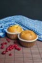 Beautifil muffin cupcake with berries Royalty Free Stock Photo