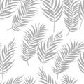 Beautifil Palm Tree Leaf  Silhouette Seamless Pattern Background Vector Illustration Royalty Free Stock Photo