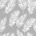 Beautifil Palm Tree Leaf  Silhouette Seamless Pattern Background Vector Illustration Royalty Free Stock Photo