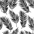 Beautifil Palm Tree Leaf  Silhouette Seamless Pattern Background Vector Illustration Royalty Free Stock Photo