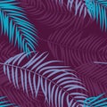 Beautifil Palm Tree Leaf Silhouette Seamless Pattern Background Vector Illustration Royalty Free Stock Photo