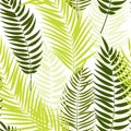 Beautifil Palm Tree Leaf Silhouette Seamless Pattern Background Royalty Free Stock Photo