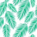 Beautifil Palm Tree Leaf Silhouette Seamless Pattern Background Vector Illustration Royalty Free Stock Photo