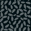 Beautifil Palm Tree Leaf Silhouette Seamless Pattern Background Royalty Free Stock Photo