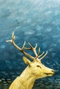 Beautifiul deer, artistic image, Natural History Museum, London