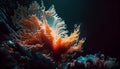 Beautifiul underwater panoramic view with tropical fish and coral reefs Royalty Free Stock Photo