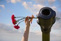 Beautifrul flowers in the barrel of the tank. May 9th. Victory day in Russia. Peace in the world. Memorial day