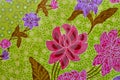 The Beautifu fabric pattern background