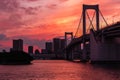 Beautifu firey sunset sky behing a suspension bridge and skyscrapers (Tokyo, Japan