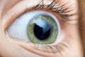 Beautifu green child`s eye macro shot Royalty Free Stock Photo