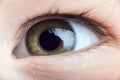 Beautifu green child`s eye macro shot Royalty Free Stock Photo