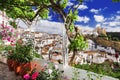 Setenil de las Bodegas village, one of the beautiful white villages Pueblos Blancos of Andalusia, Spain