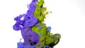 Beautiful abstract background. Acrylic paints are mixed in water. Purple, green and blue watercolor ink in water on a white Royalty Free Stock Photo