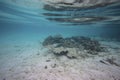 Beautiful abstract background / texture of underwater view of white sand bottom and blue water. Snorkeling, Royalty Free Stock Photo