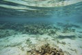 Beautiful abstract background texture of underwater view of white sand bottom and blue water. Snorkeling, Maldives, Royalty Free Stock Photo