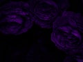 Beautiful abstract blue and purple flowers on black background, black flower frame, dark leaves texture, purple background, purpl