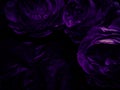 Beautiful abstract blue and purple flowers on black background, black flower frame, dark leaves texture, purple background, purpl