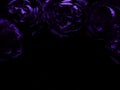 Beautiful abstract blue and purple flowers on black background, black flower frame, dark leaves texture, purple background, purpl