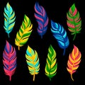 Beautiful abstract bright colored feathers set vector Illustration on a white background Royalty Free Stock Photo