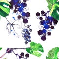 Beautiful abstract bright pattern of grapes and leaves made with