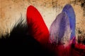 Beautiful abstract close up color gray red blue and black feathers on the brown and white  paper background and wallpaper Royalty Free Stock Photo