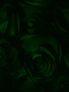 Beautiful abstract color black and green flowers on black background and dark graphic white flower frame and green leaves texture Royalty Free Stock Photo