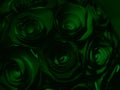 Beautiful abstract color black and green flowers on black background and dark graphic white flower frame and green leaves texture Royalty Free Stock Photo