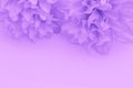 Beautiful abstract color purple and blue flowers on white background and light purple flower frame and purple leaves texture Royalty Free Stock Photo