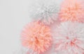 Beautiful abstract color purple and pink flowers on white background and orange flower frame and light pink leaves texture, white