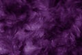 Beautiful abstract colorful blue black red and pink feathers on dark background and soft white purple feather texture on white pat Royalty Free Stock Photo