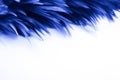 Beautiful Abstract Colorful Pink And Purple Feathers On Dark Background And Soft White Blue Feather Texture On White Pattern