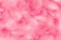 Beautiful abstract colorful white and pink feathers on white background and soft white feather texture on pink pattern, pink Royalty Free Stock Photo