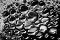 Beautiful abstract foam white bubbles on dark black background and soap black bubble and detergent Royalty Free Stock Photo