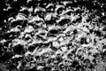 Beautiful abstract foam white bubbles on dark black background and soap black bubble and detergent Royalty Free Stock Photo